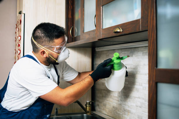 Best Best Pest Control Companies  in Colona, IL