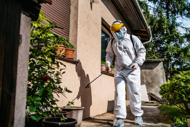 Best Exterminator Services  in Colona, IL