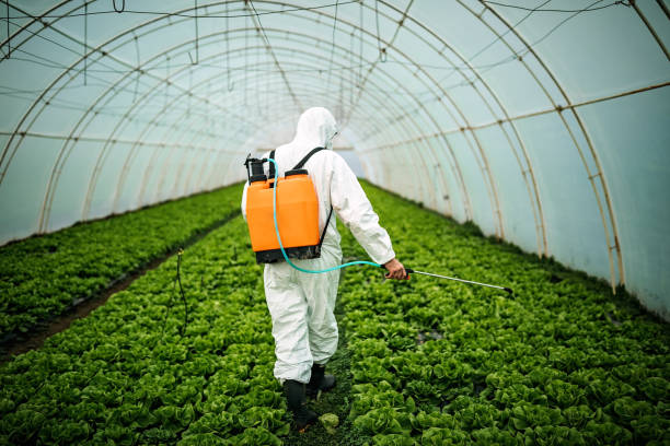 Best Affordable Pest Control Services  in Colona, IL