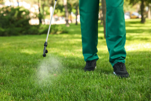 Best Pest Inspection Near Me  in Colona, IL