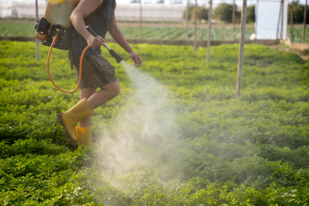 Best Affordable Pest Control Services  in Colona, IL