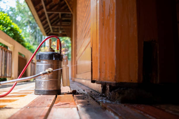 Best Rat Extermination Near Me  in Colona, IL