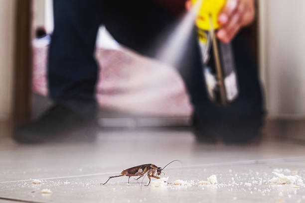 Reliable Colona, IL Pest Control Solutions