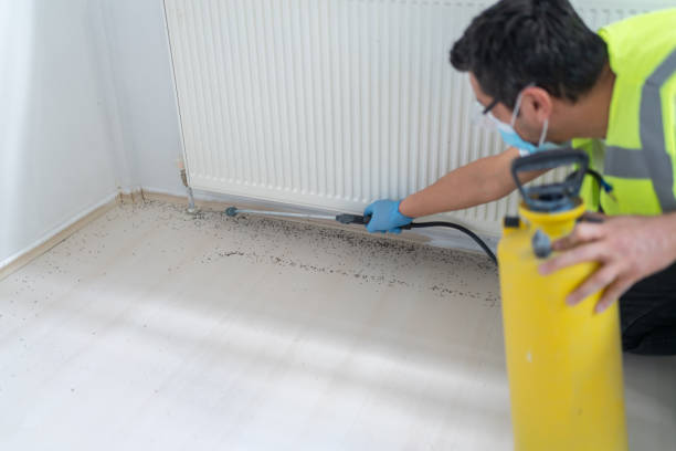 Best Pest Control for Homes  in Colona, IL